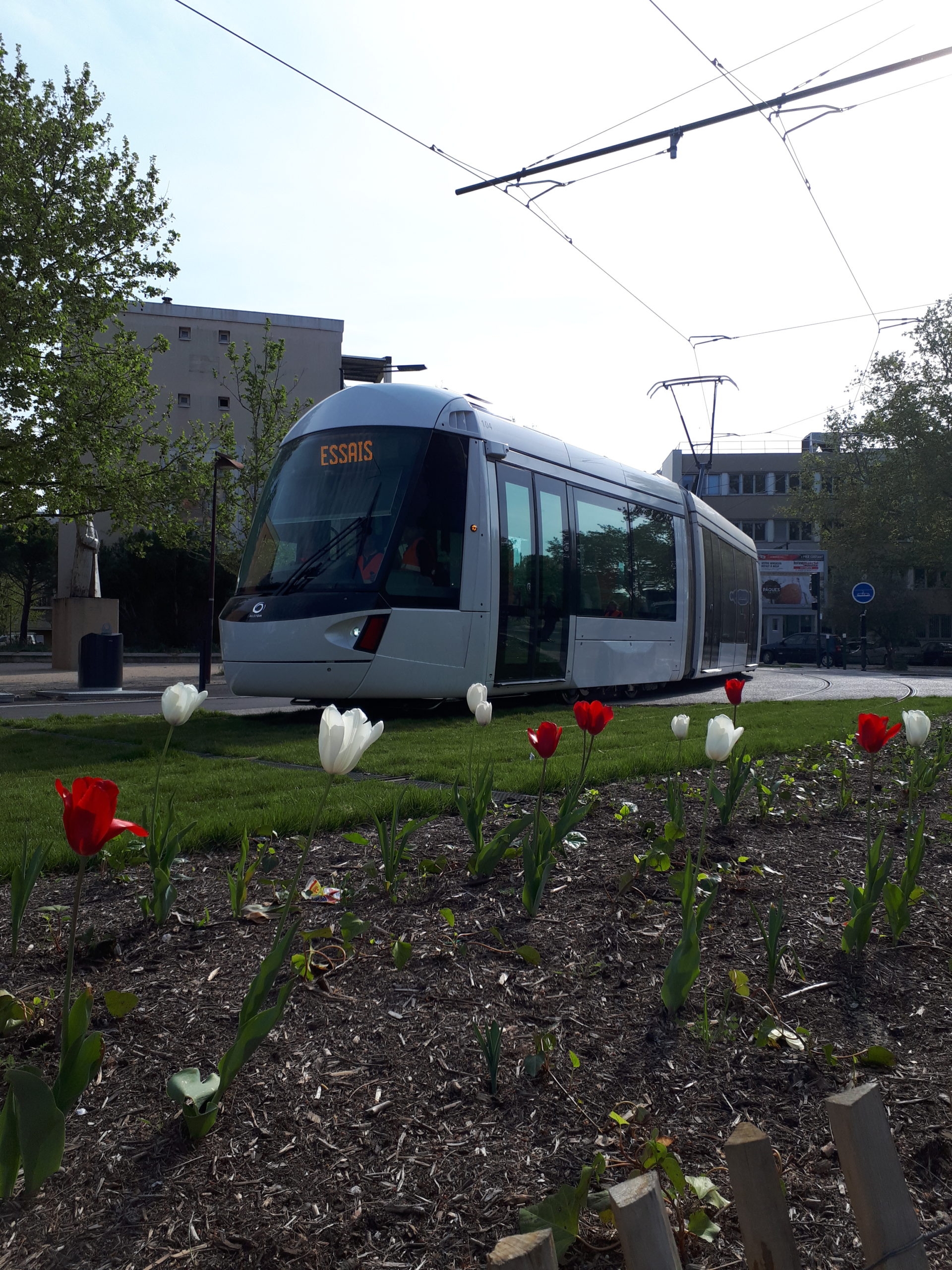 Tramway d'Avignon